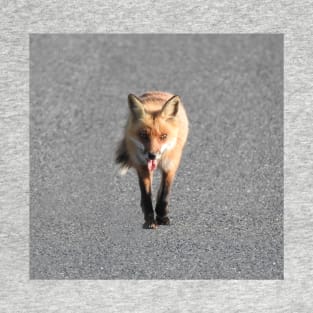 Red Fox, Wildlife Gifts, Wild Animals T-Shirt